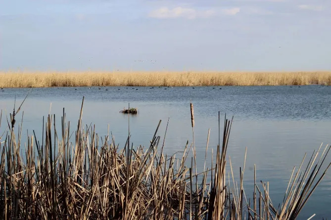 Parc national d'Absheron