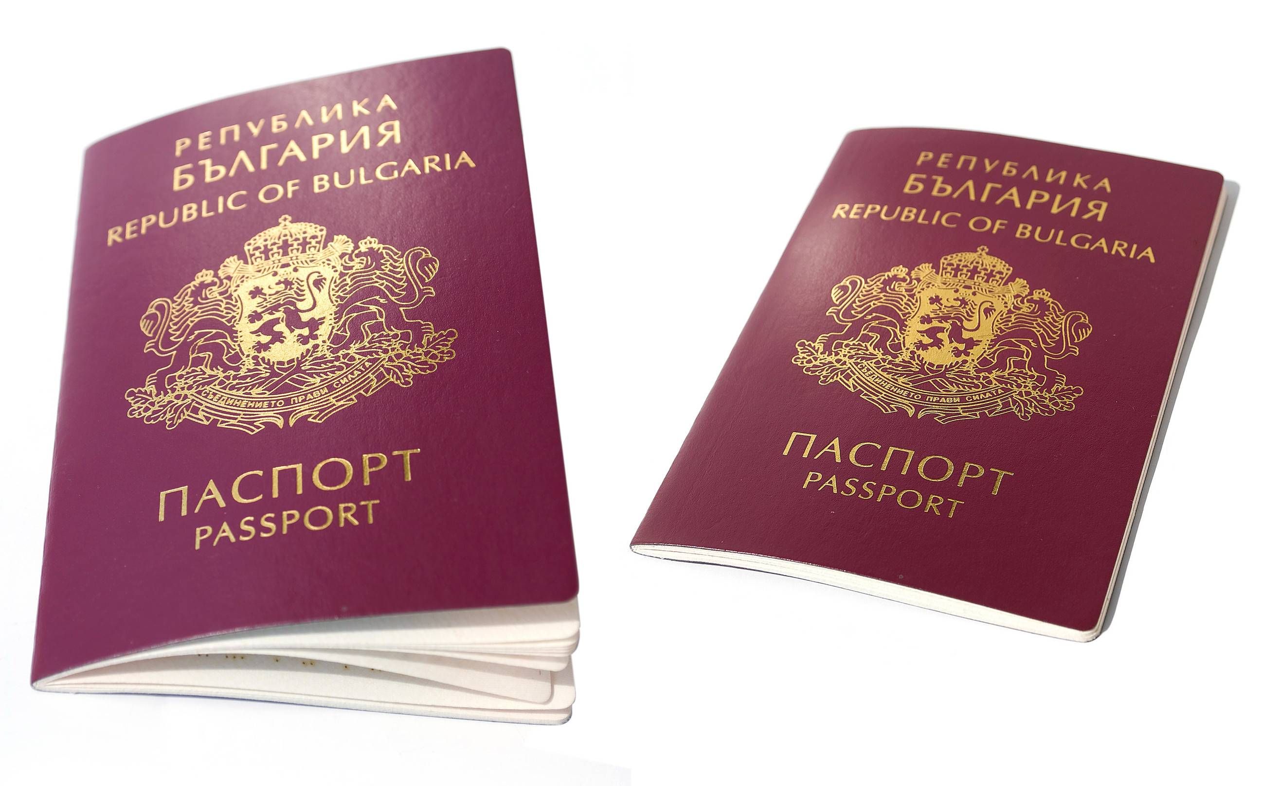 passaporto bulgaro isolato su sfondo bianco